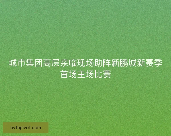 城市集团高层亲临现场助阵新鹏城新赛季首场主场比赛